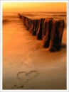 beach love