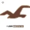 hollister