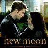 New Moon
