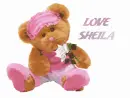 LOVE SHEILA