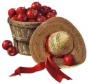 apple  tube