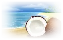 beach tube