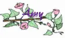 amy flower