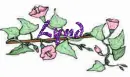 lynd flower