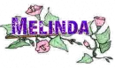 melinda flower
