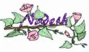 nadeth flower