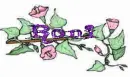 roni flower