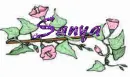 sanya flower.