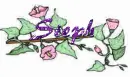 steph flower