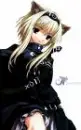 Anime CatGirl