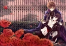Lelouch and Suzaku