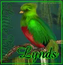 Lynds
