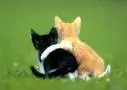 two friends