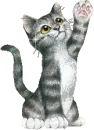 kitty