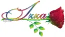 Izza