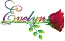 Evelyn
