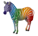 RAINBOW ZEBRA