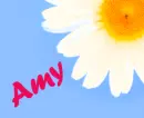Amy Daisy