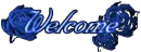 blue rose welcome