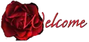 red rose welcome