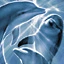 dolphins