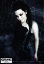 amy lee