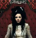 amy lee