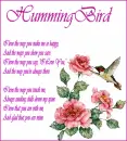 Hummingbird Poem