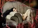 amy lee