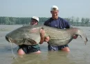 big fish