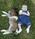 horse and kid