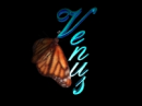 Venus on butterfly