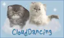 2 cat