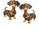 Doxies
