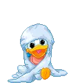 Baby Donald