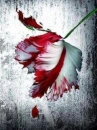New Moon