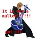 Demyx not a mullet 2