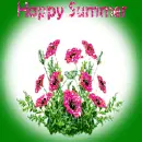 pink flowers