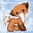 baby Fox