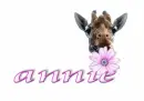 annie