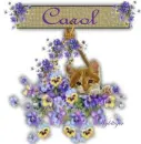 Kitten in pansies - Carol