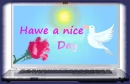 Nice