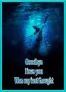 good bye