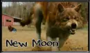new moon
