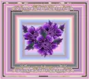 Violets