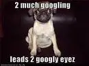Googling dog grrrr