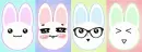 bunny classmates