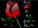 SPECIAL ROSE FOR A SPECIAL FRIEND
