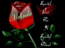 SPECIAL ROSE FOR A SPECIAL FRIEND-MELINDA