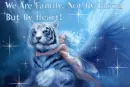 family by heart